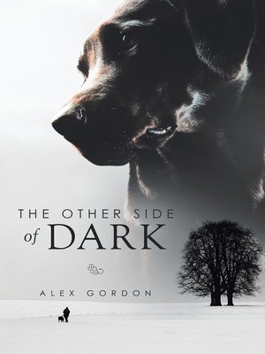 cover image of The Other Side of Dark